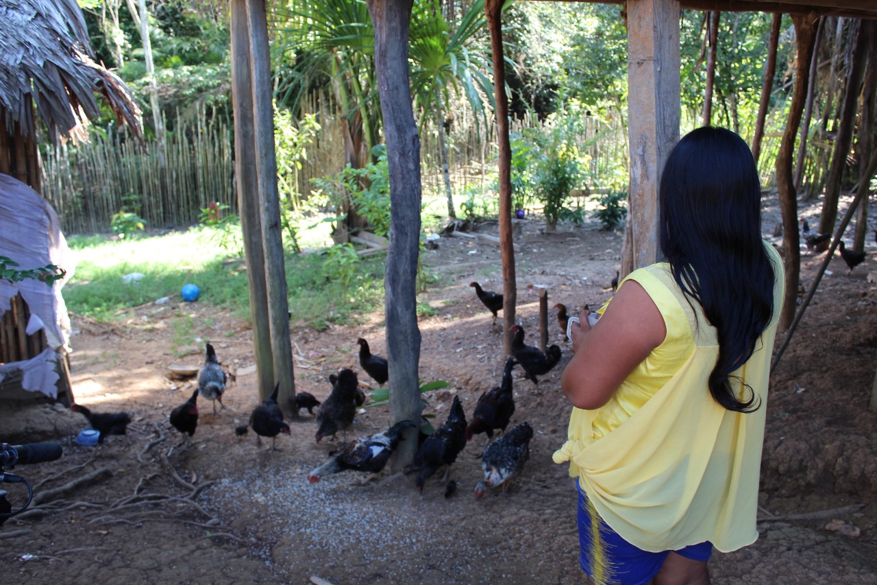 WhatsApp Image 2024-08-27 at 3.48.39 PM (3)