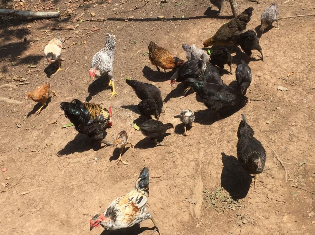 a006e0af5d174fcaa6a479504e8a95de