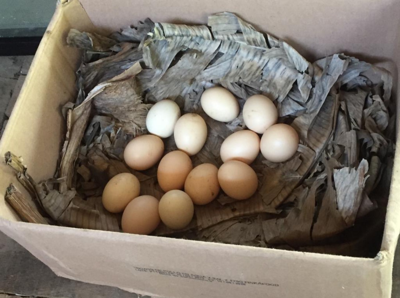 f68d847ac29a495db32a824eade11a1c