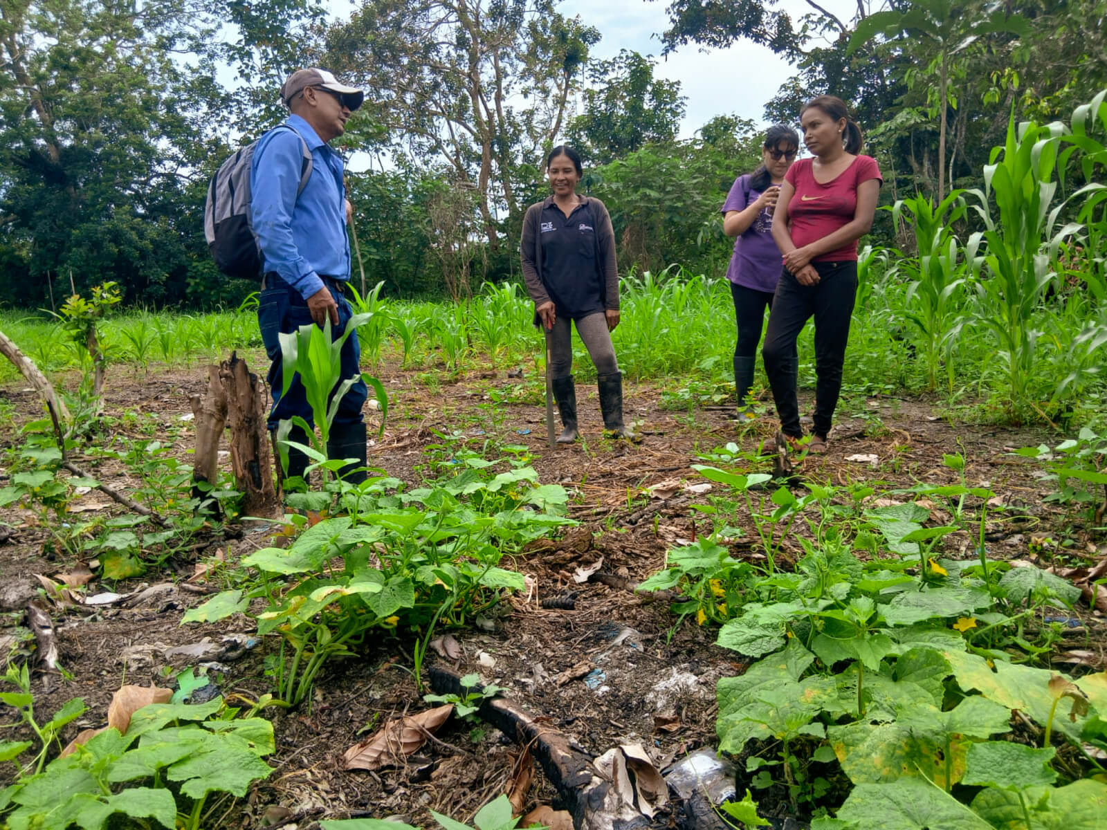 Amazonia-Nutritiva-02