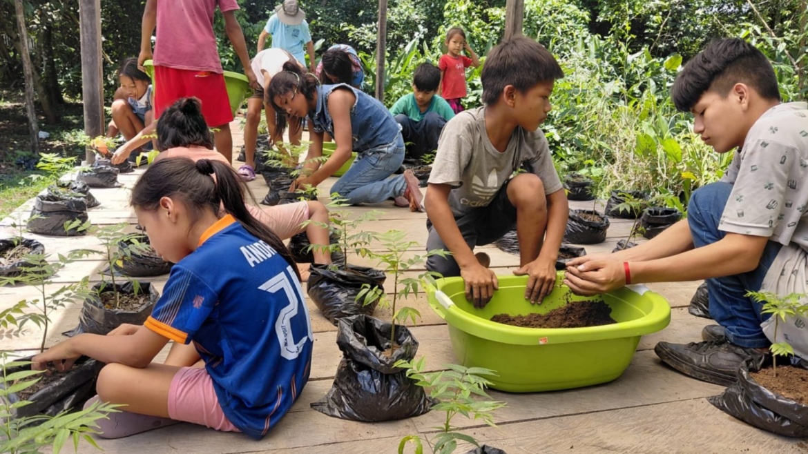 ¡Aquí reforestamos con ternura! 🌱