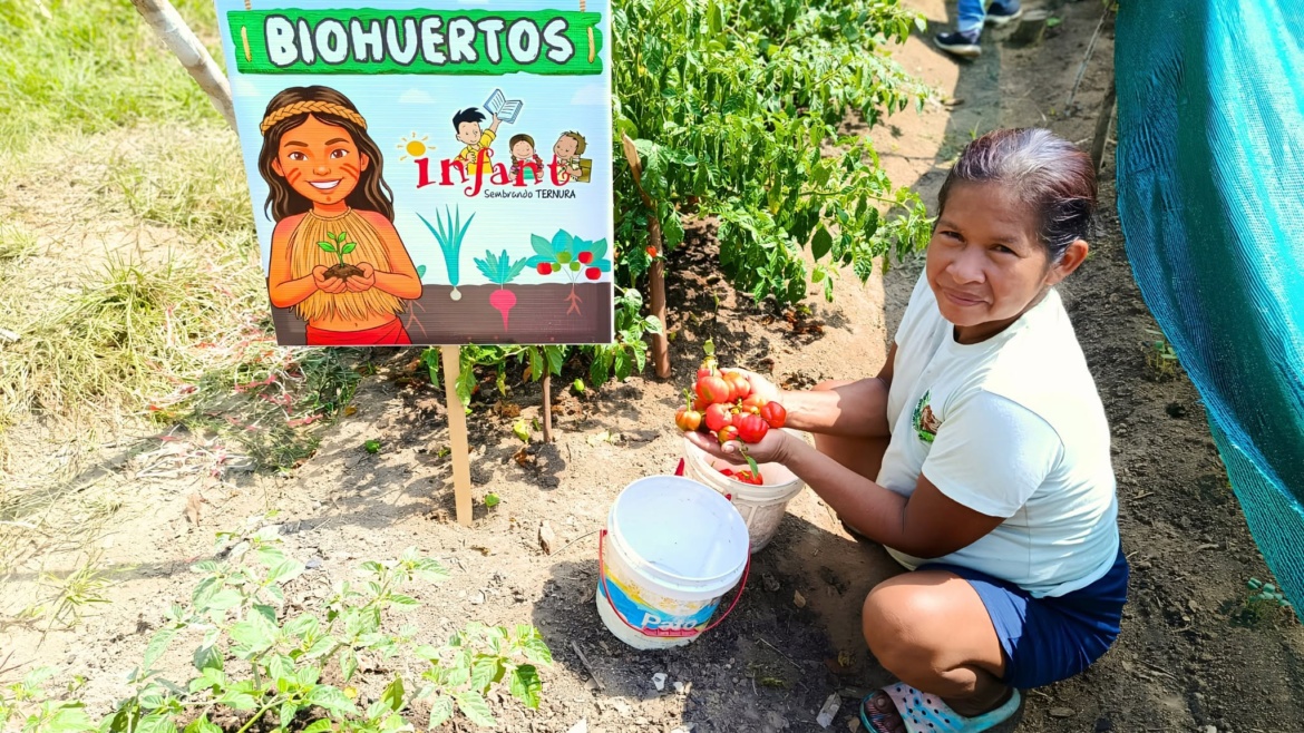 Mujeres Yagua-Bora cosechan alimentos saludables de sus biohuertos y fortalecen la seguridad alimentaria