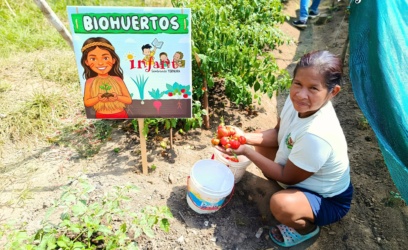 Mujeres Yagua-Bora cosechan alimentos saludables de sus biohuertos y fortalecen la seguridad alimentaria